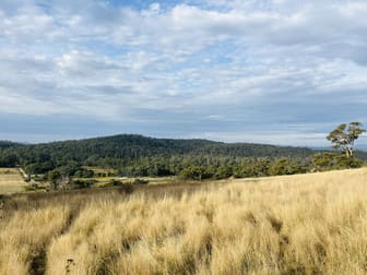 Lots 1,2 &5 West Tamar Highway Loira TAS 7275 - Image 1