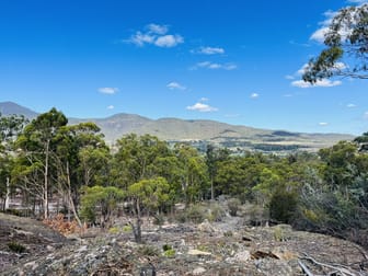 Lot 3 Leona Road Avoca TAS 7213 - Image 1