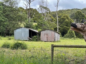 B/477 Cemetery Road Weldborough TAS 7264 - Image 3