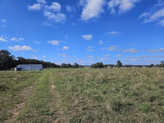Lot 207/45 Bayly Lane Mudgee NSW 2850 - Image 1
