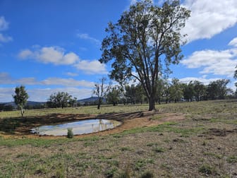 Lot 207/45 Bayly Lane Mudgee NSW 2850 - Image 3