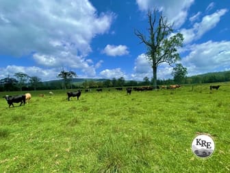 799 Ghinni Ghi Road Kyogle NSW 2474 - Image 1