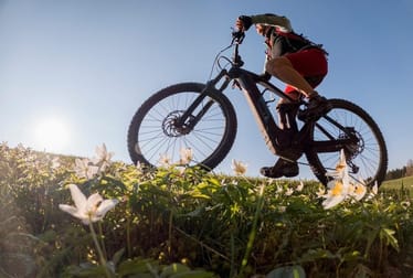 Recreation & Sport  business for sale in Frankston - Image 1
