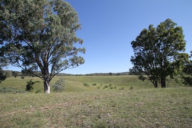 293 Hayes Gap Road Mudgee NSW 2850 - Image 2