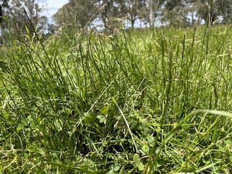 Lot/4 Sullivans Rd Dartmoor VIC 3304 - Image 1