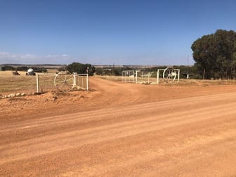 438 Greenough Road Walkaway WA 6528 - Image 3
