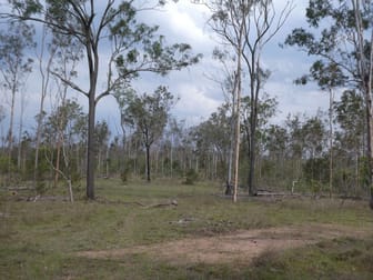 Lot 115 Gigoomgan Road Brooweena QLD 4620 - Image 1