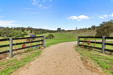 4 Page Street Gundy NSW 2337 - Image 3