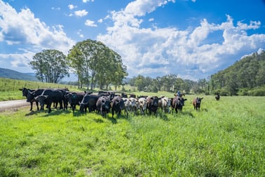 312-370 Upper Monkerai Road Monkerai NSW 2415 - Image 1