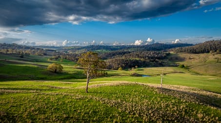 'Sugarloaf' 714 Greenhills Road Armidale NSW 2350 - Image 1