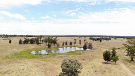1347 Acres | Cattle Property Chinchilla QLD 4413 - Image 3