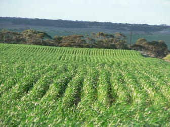 2684 New Well Centre Road New Well SA 5357 - Image 1