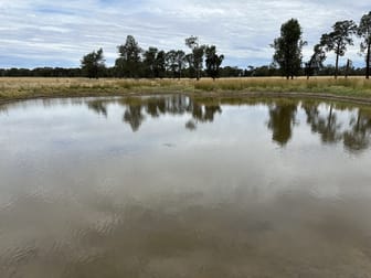 126-184 Henty Walla Road Henty NSW 2658 - Image 3