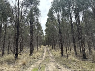 37 Bedchambers Road Gretna TAS 7140 - Image 2