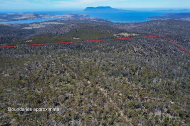 298 Alma Road Orford TAS 7190 - Image 1