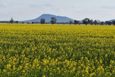 "Oomaville & Devon" Henry Lawson Way Ooma NSW 2871 - Image 3