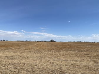 Donald-Murtoa Road Minyip VIC 3392 - Image 1