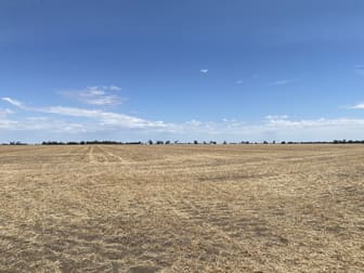 Donald-Murtoa Road Minyip VIC 3392 - Image 2