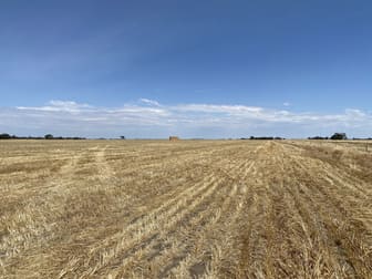 Donald-Murtoa Road Minyip VIC 3392 - Image 3