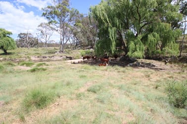 335 Washpool Creek Road Tenterfield NSW 2372 - Image 1