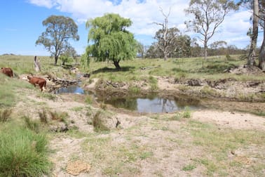 335 Washpool Creek Road Tenterfield NSW 2372 - Image 2