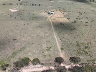 335 Washpool Creek Road Tenterfield NSW 2372 - Image 3