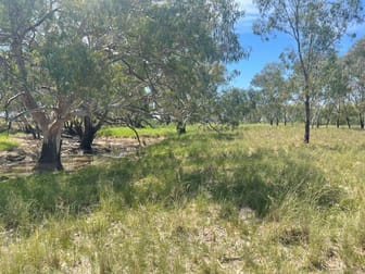 2758 Collie Trangie Road Trangie NSW 2823 - Image 3