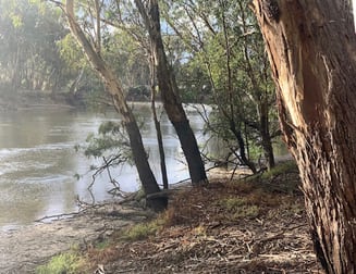 215 NORTH BARHAM ROAD Barham NSW 2732 - Image 1