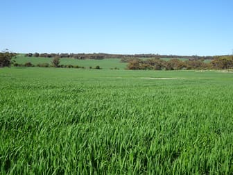 1104 Shaddick Road East Pingelly WA 6308 - Image 3