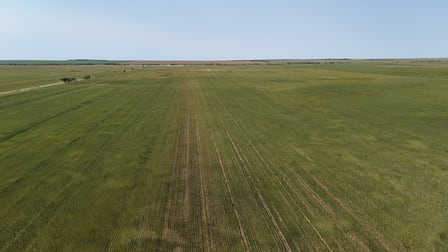2064 Binnu Road East Ogilvie WA 6535 - Image 2