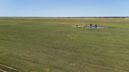 2064 Binnu Road East Ogilvie WA 6535 - Image 3