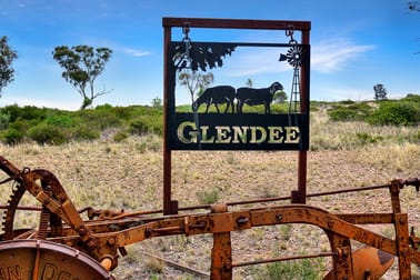 'Glendee' 246 Lemons Lane West Wyalong NSW 2671 - Image 1