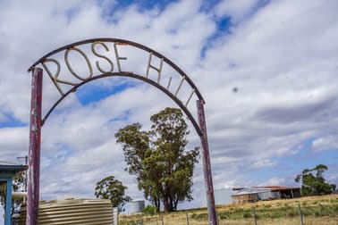 'Rosehill' 54 Rennies Lane West Wyalong NSW 2671 - Image 1