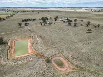 'Rosehill' 54 Rennies Lane West Wyalong NSW 2671 - Image 3