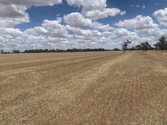 Lowe Road Rochester VIC 3561 - Image 1