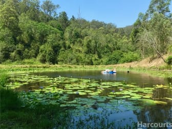 173 Dhalayi Glade Bellbrook NSW 2440 - Image 3