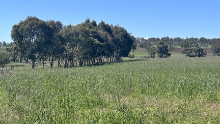 450 Bridges Road Gunnedah NSW 2380 - Image 3