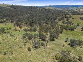 2238 Triamble Road Mudgee NSW 2850 - Image 1