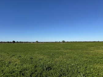 2823 Hermidale Nymagee Road Hermidale NSW 2831 - Image 3