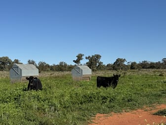2823 Hermidale Nymagee Road Hermidale NSW 2831 - Image 1