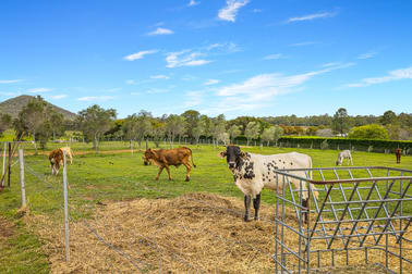 437 Newlands Road Wamuran QLD 4512 - Image 1