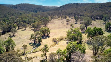 Lot 1, 625 Dolomite Road Rylstone NSW 2849 - Image 1