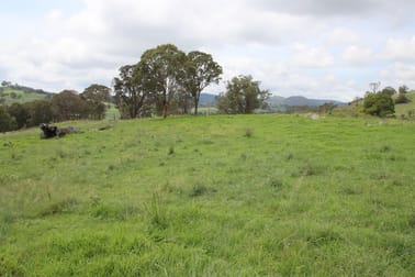 Lot 1 Kochs Road Tenterfield NSW 2372 - Image 1