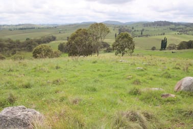 Lot 1 Kochs Road Tenterfield NSW 2372 - Image 2