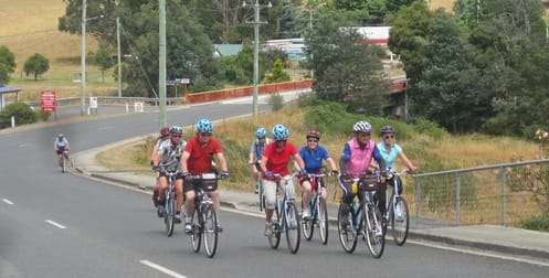 Tours  business for sale in TAS - Image 1