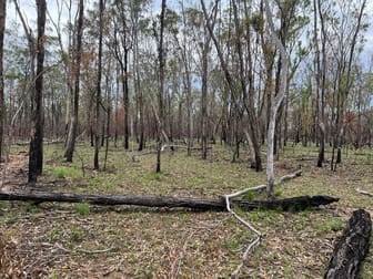 480 South Road Tara QLD 4421 - Image 3