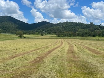 143 Wainai Road Farleigh QLD 4741 - Image 2