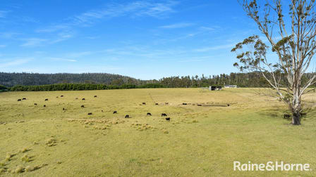 Ironbark Estate Lower Bugong Road Budgong NSW 2577 - Image 2