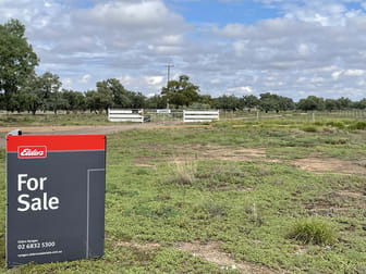 167 Tancred Drive Bourke NSW 2840 - Image 2