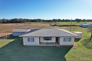 325 Tralee Lane Peak Hill NSW 2869 - Image 1